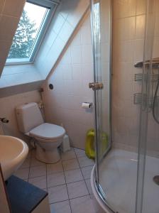 a bathroom with a shower and a toilet and a sink at Ferienwohnung Schiemann in Krienke +10 photos