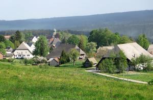 a small village with houses and a field of grass at Haus Intlekofer in Lenzkirch