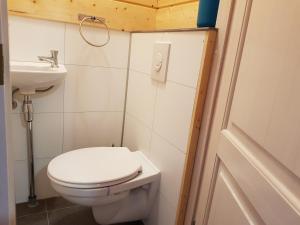 a small bathroom with a toilet and a sink at Ferienhaus Wolfshütte in Hillesheim +2 photos