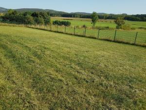 a field of grass with a fence in the background at Ferienhaus Wolfshütte in Hillesheim