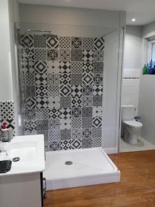 łazienka z prysznicem i toaletą w obiekcie 13 Bees w mieście Confolens