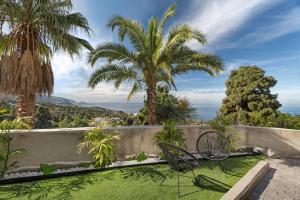 a patio with palm trees and a chair on the grass at Buena - Vista in La Guancha