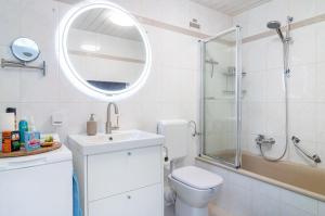 a bathroom with a toilet and a sink and a shower at Schwabenseenestle in Uhldingen-Mühlhofen +20 photos