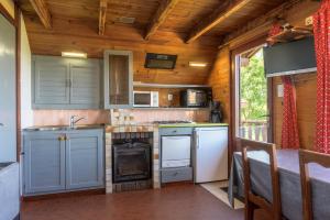 a kitchen with blue cabinets and appliances in a cabin at Chalet les moraines 8 in Le Tholy