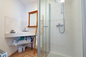 a bathroom with a shower and a sink at Typical House Completely Renovated in Saint-Alban-dʼAy +19 photos