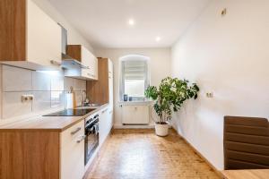 eine Küche mit weißen Schränken und einer Topfpflanze in der Unterkunft Wohnung Weida in Riesa