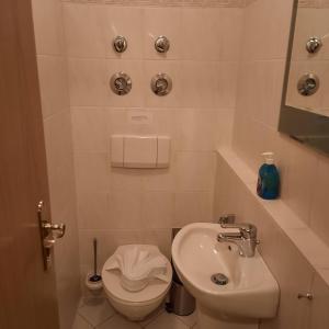 a small bathroom with a toilet and a sink at Ferienwohnung Leni in Sonthofen +12 photos