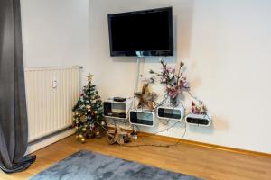 a living room with a christmas tree and a tv at Radolfzell Bodensee in Radolfzell am Bodensee