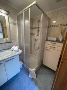 a bathroom with a shower and a sink at Apartment Bergglück Wildschönau in Wildschönau +10 photos