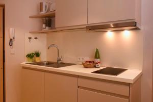 a kitchen with a sink and a bottle of wine at Rosengartnerhof Apt Vorberg in Terlano