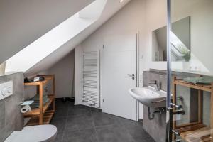 a bathroom with a sink and a toilet at Blick zum Säntis in Horgenzell +15 photos