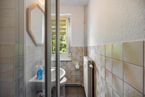 a bathroom with a toilet and a sink and a mirror at Wohnung am Geiseltalsee in Mücheln +15 photos