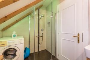 a bathroom with a shower and a washing machine at Apartment Vigl Lodge in Collalbo