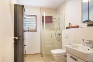 a bathroom with a shower and a toilet and a sink at Bauzinger Alm in Hauzenberg