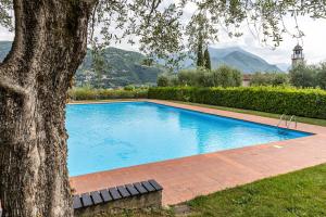 a swimming pool in a yard next to a tree at Nido di Cisano in San Felice del Benaco