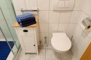 a small bathroom with a toilet and a shower at Ferienhaus Piet in Berumbur +24 photos