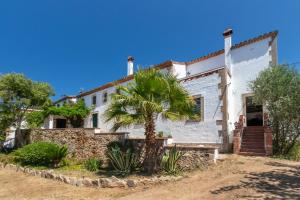 a white house with a palm tree in front of it at Masía Can Garriga, Casa Gran in Girona