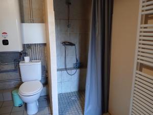 a bathroom with a toilet and a shower at La Garnasette in Beaulieu