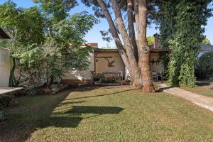 a tree in the yard of a house at La Posada de la Pinaleta in Chiclana de la Frontera