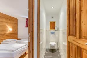 a bathroom with a shower and a toilet in a room at Chalet le Regain in Villard-Reculas +166 photos