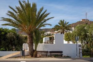 a palm tree next to a white building with a bench at Noria 2 in Níjar