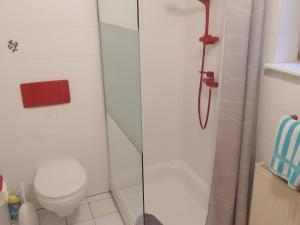 a bathroom with a toilet and a glass shower at Ferienwohnung Rösner in Herzhausen +10 photos