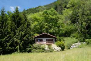 a small cabin in the middle of a forest at Gite Nature L'orée Des Etoiles in Stosswihr