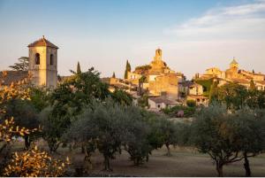a view of a town with trees and buildings at L'Amaryflor in Vaugines