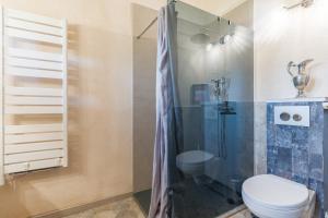 a bathroom with a toilet and a shower at L'Amaryflor in Vaugines +13 photos