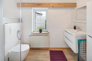 a bathroom with a toilet and a window at Vogelsberger Bett 7 die 1 in Alsfeld
