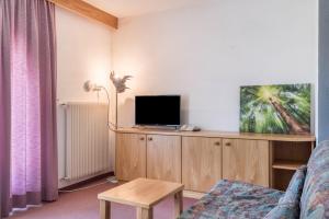 a living room with a tv on a wooden cabinet at Sabina Dolomites Euringer in Alpe di Siusi