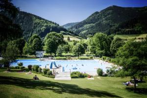 a large swimming pool with people in a park at Trenklehof in Simonswald