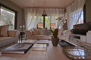 a living room with a couch and a tv at Villa Grazia in Manerba del Garda