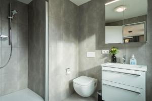a bathroom with a shower and a toilet and a sink at 1 Zimmer-appartment Nr 12 in Wangen im Allgäu