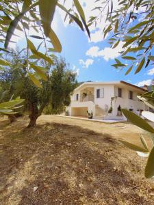 a house with a tree in front of it at Meridiana case al mare in Mattinata