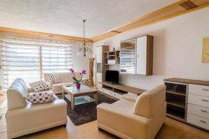 a living room with two chairs and a television at Ferienwohnung Maria in Liggersdorf