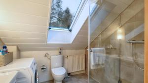 a bathroom with a toilet and a shower and a window at Waldfee - Stilvolles Ferienhaus in Kemmerode +17 photos