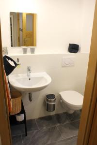 ein Badezimmer mit Waschbecken und Toilette in der Unterkunft Am Barthelwald in Wilhelmsdorf + 18 Fotos