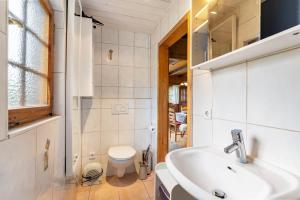 a bathroom with a sink and a toilet at Blockhaus Paepke in Mühlenbach +18 photos