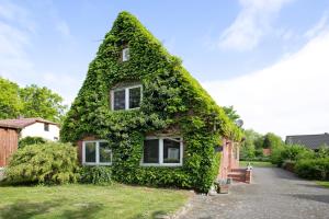 a house covered in green ivy on a street at Haus Gerda in Stadum