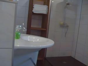 a bathroom with a white sink and a shower at Ferienhaus Kudensee in Kudensee +14 photos