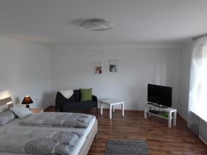 a bedroom with a bed and a tv and a couch at Ferienwohnung Bieniussa 3 in Gemünden