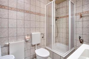a bathroom with a toilet and a shower at Ferienwohnung Blütenzauber in Sagard