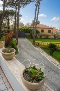 a row of potted plants sitting on a ledge at B&B InVilla in Naples