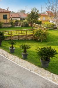 a row of potted plants in front of a fence at B&B InVilla in Naples