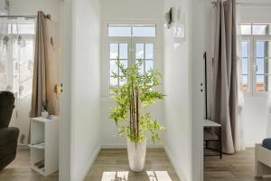 a white room with a vase with a plant in it at Casa Pereira in Ponta do Pargo +132 photos