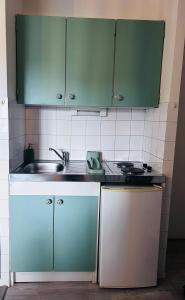 a kitchen with green cabinets and a sink at Studio Pergaud in Besançon