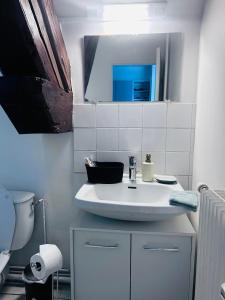 a bathroom with a white sink and a mirror at Studio Pergaud in Besançon
