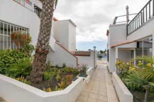 a walkway in front of a building with a palm tree at Casa Steffi in Arona