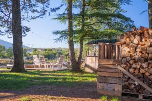 a stack of logs next to a pile of trees at Gîte Des Louveteaux in Banne